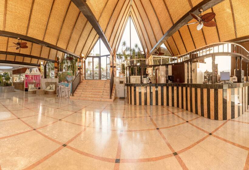 Magic Tropical Splash