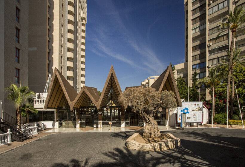 Magic Tropical Splash