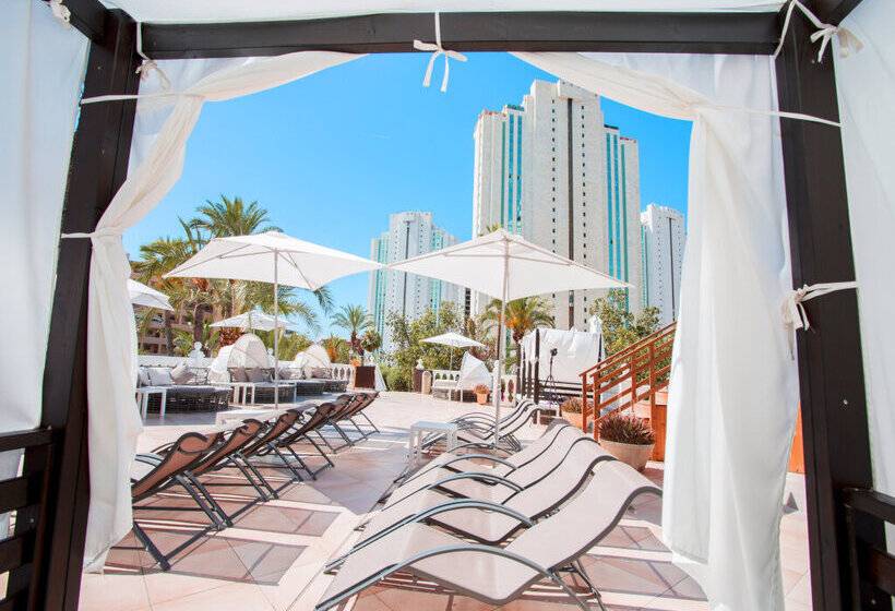 Magic Tropical Splash