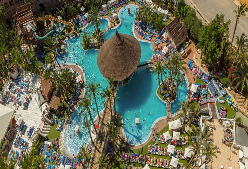 Magic Tropical Splash