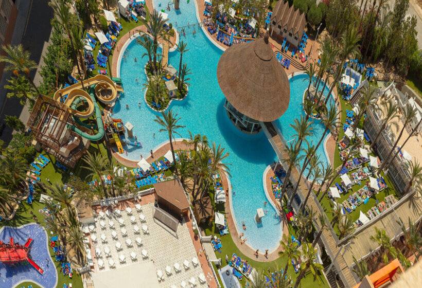 Magic Tropical Splash