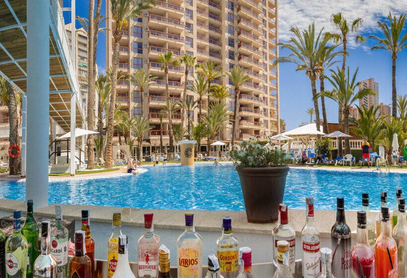 Magic Tropical Splash