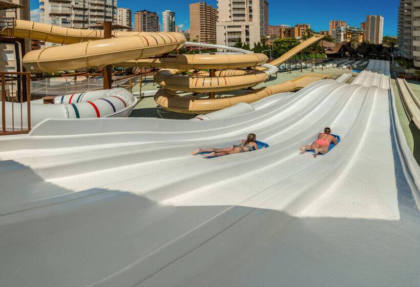 Magic Tropical Splash