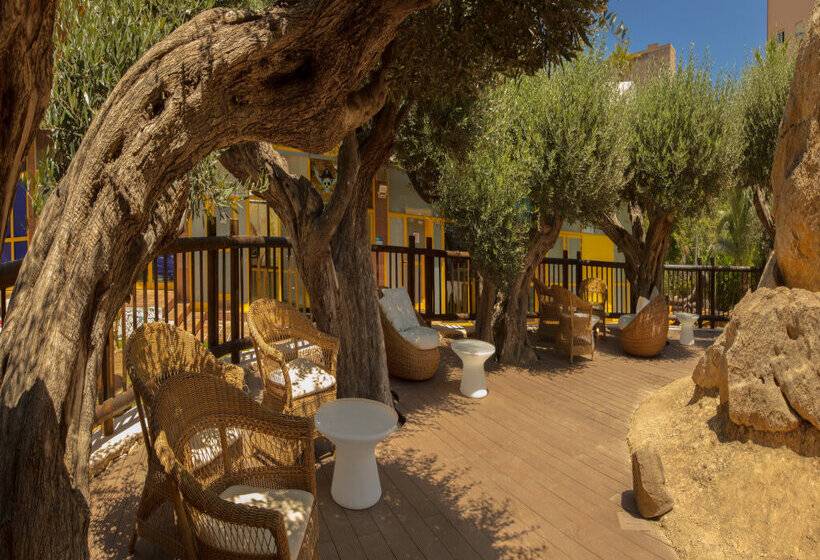 Magic Tropical Splash