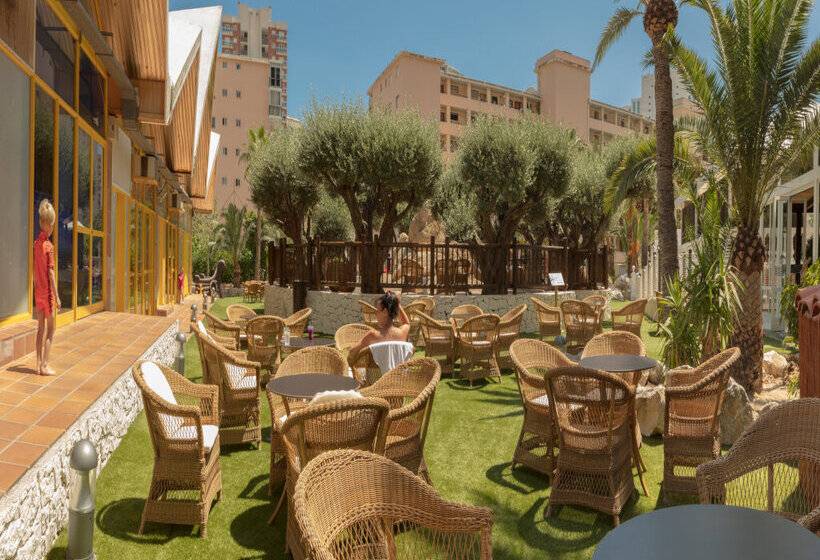 Magic Tropical Splash