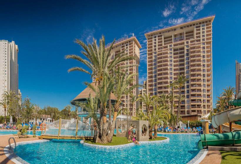 Magic Tropical Splash