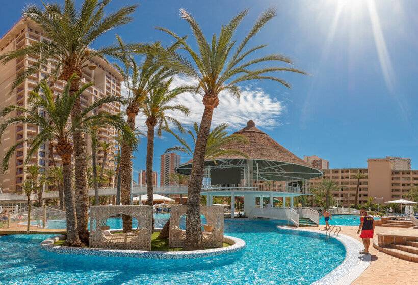 Magic Tropical Splash