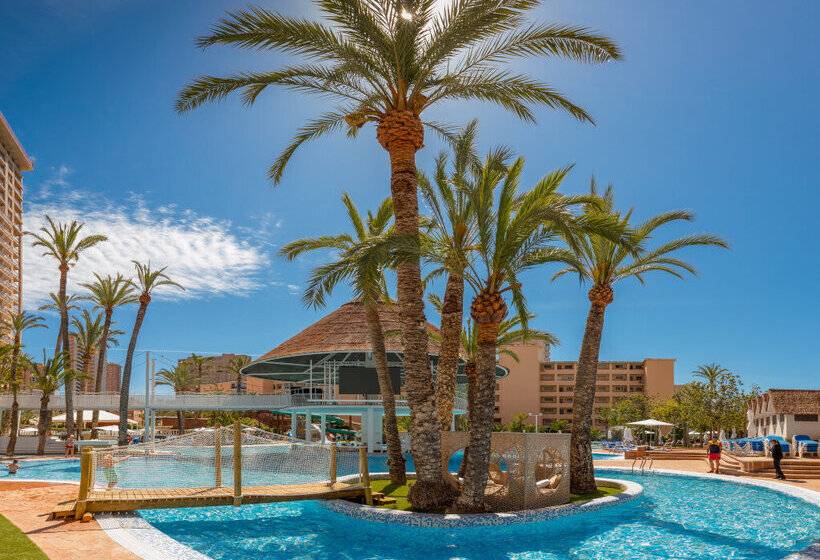 Magic Tropical Splash