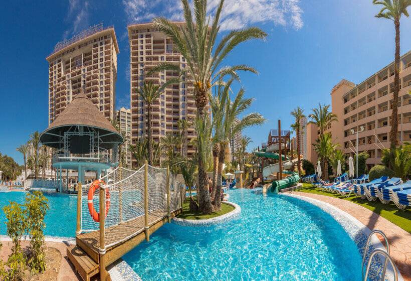 Magic Tropical Splash