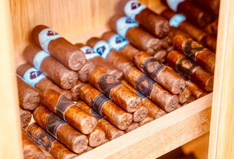 Malibu Foz Hotel   La Maison Younan