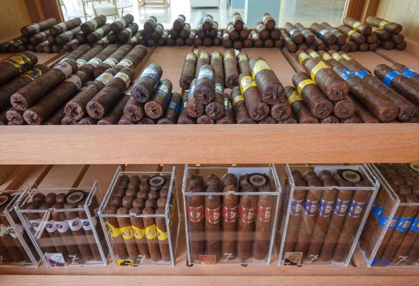 Malibu Foz Hotel   La Maison Younan