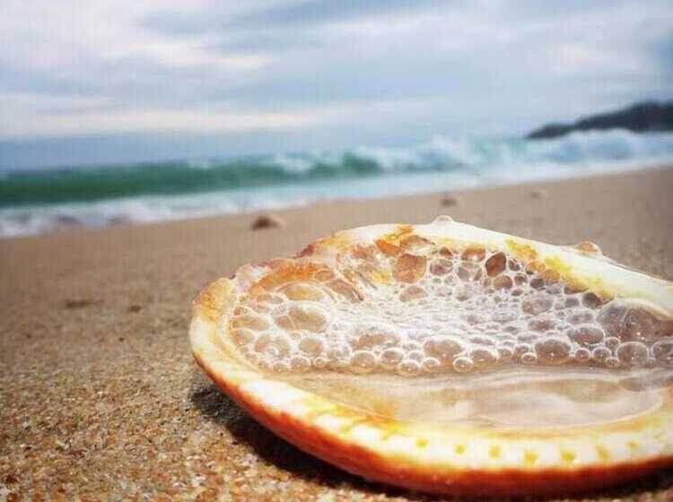 레지던스 Albufeira Beach Hotel By Kavia