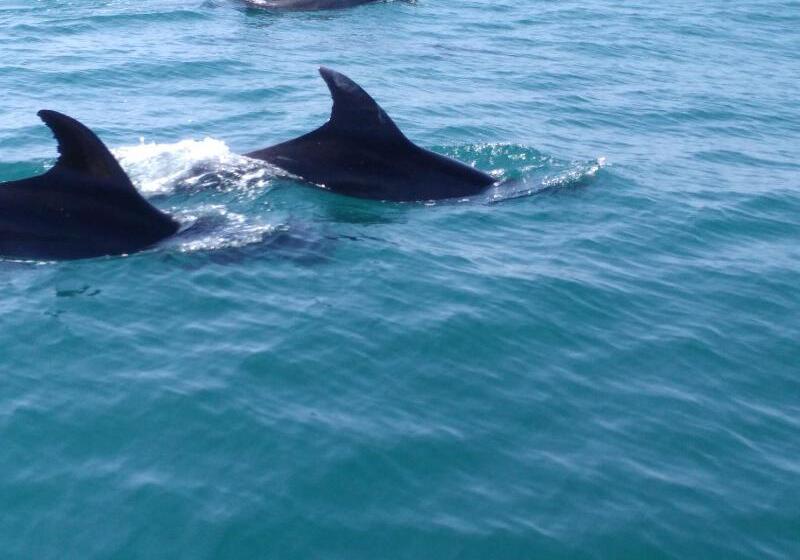 레지던스 Albufeira Beach Hotel By Kavia