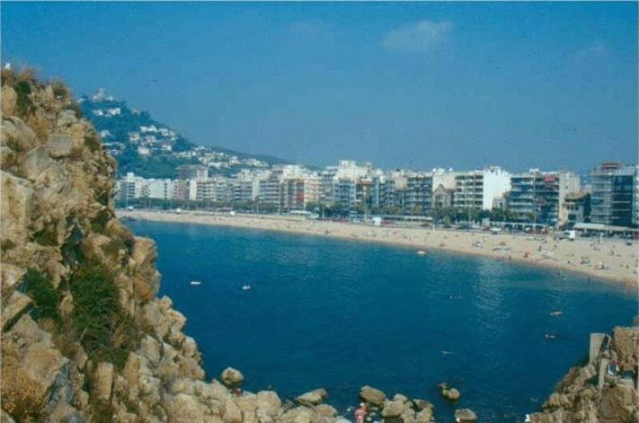 Rvs Apartamentos Lotus