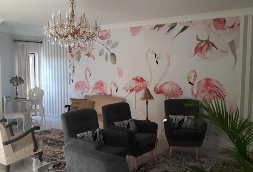 旅馆 Flamingos Rio