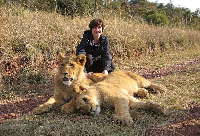 הוסטל Lion S Den Backpackers