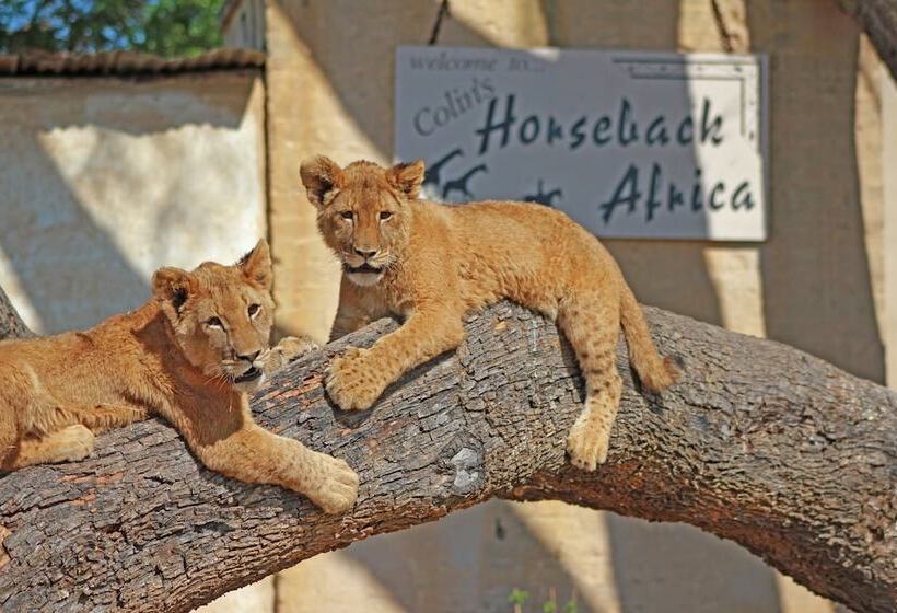 הוסטל Lion S Den Backpackers