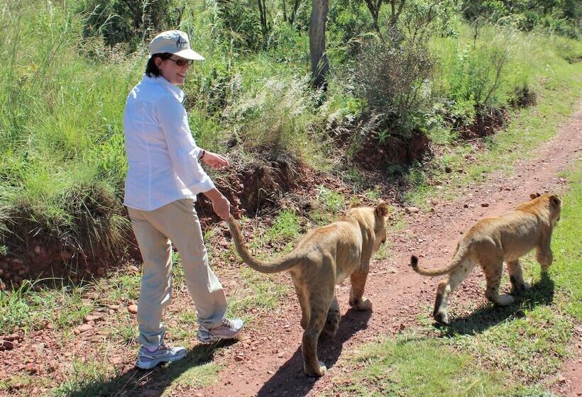 הוסטל Lion S Den Backpackers