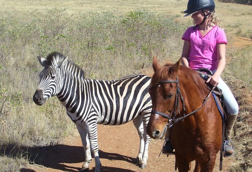 הוסטל Lion S Den Backpackers