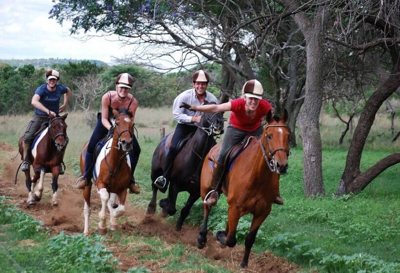 הוסטל Lion S Den Backpackers