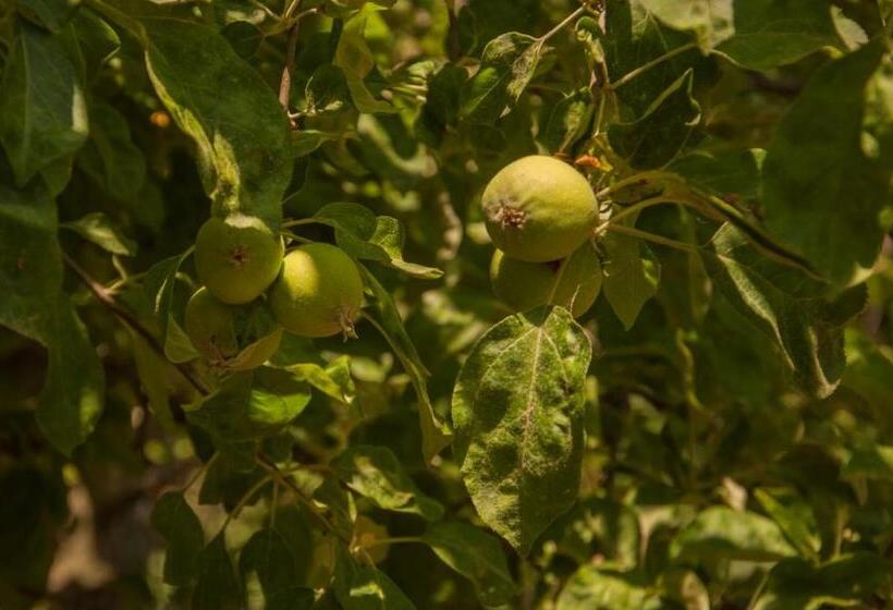 هاستل Makri Otel