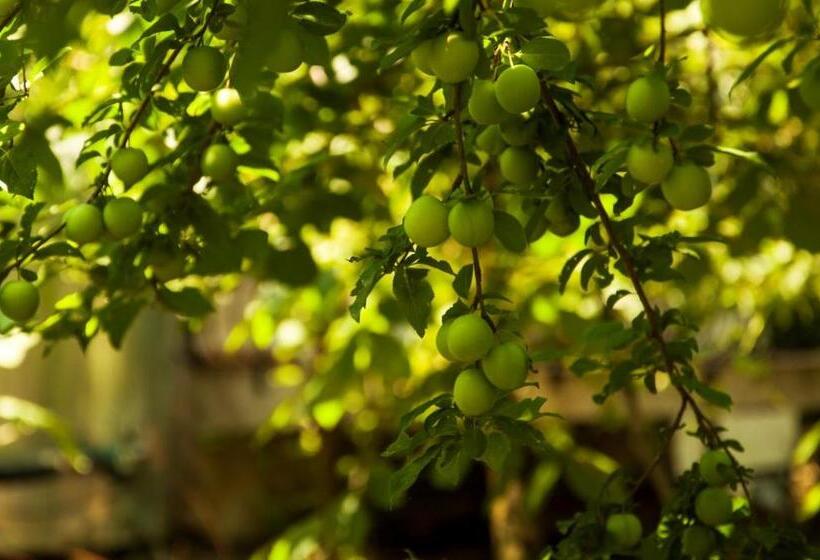 هاستل Makri Otel