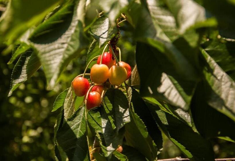 هاستل Makri Otel