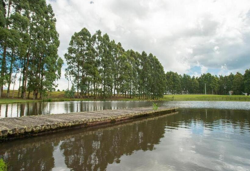 酒店 Aires De Patagonia