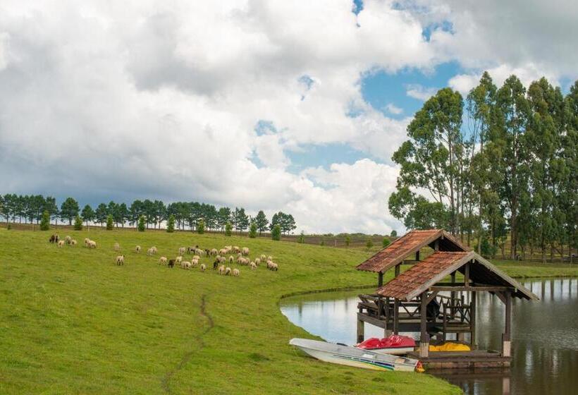 酒店 Aires De Patagonia