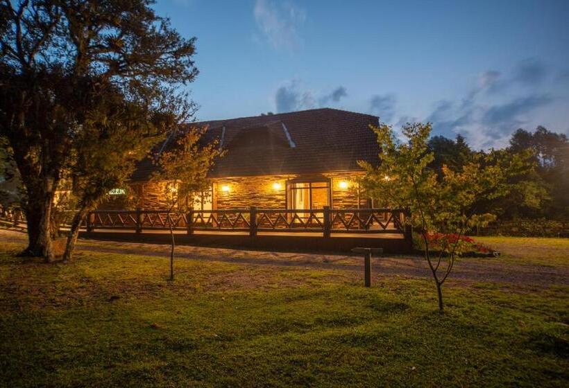 酒店 Aires De Patagonia