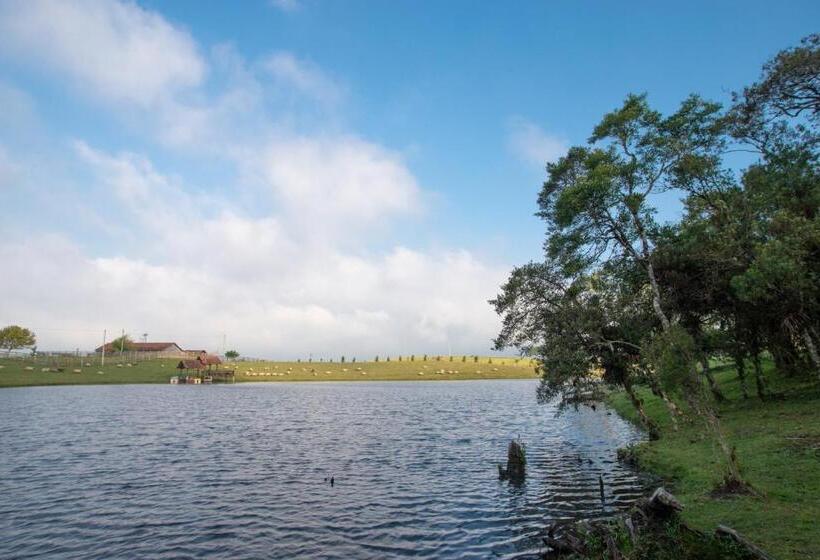 酒店 Aires De Patagonia