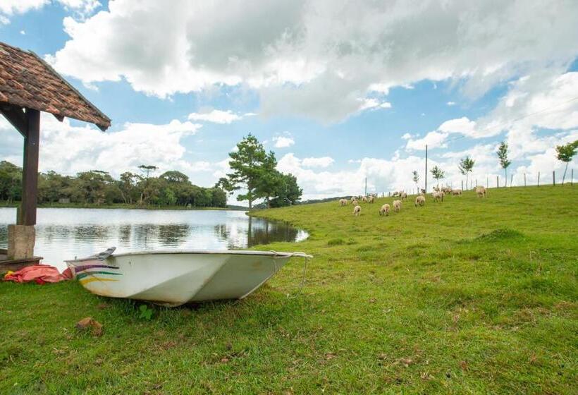 酒店 Aires De Patagonia