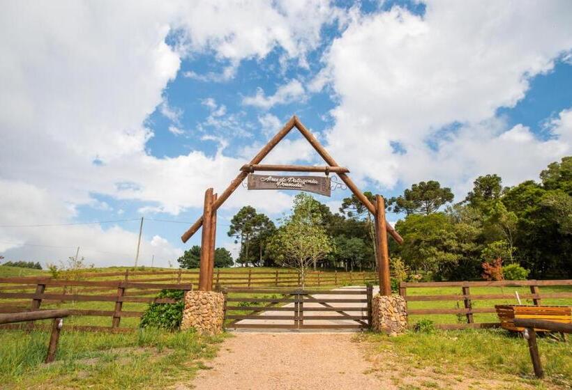 酒店 Aires De Patagonia