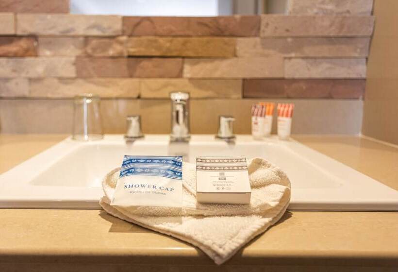 هتل Boutique Rosario Sur