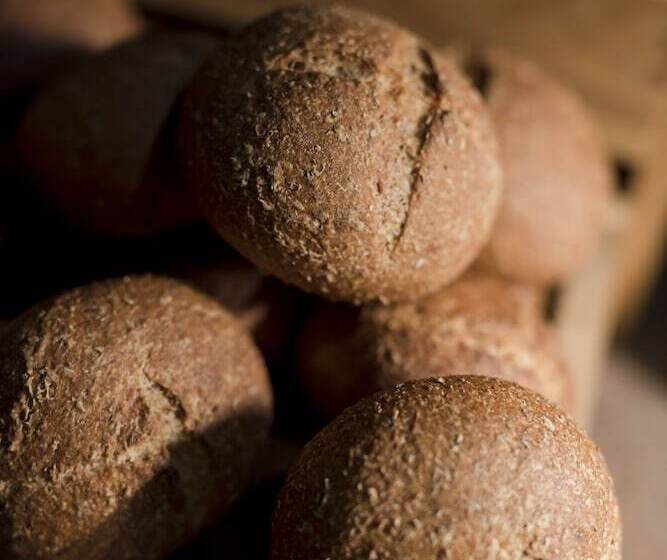 בית מלון כפרי Les Quais De Lutèce