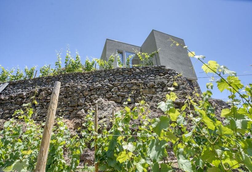 Отель Socalco Nature Calheta