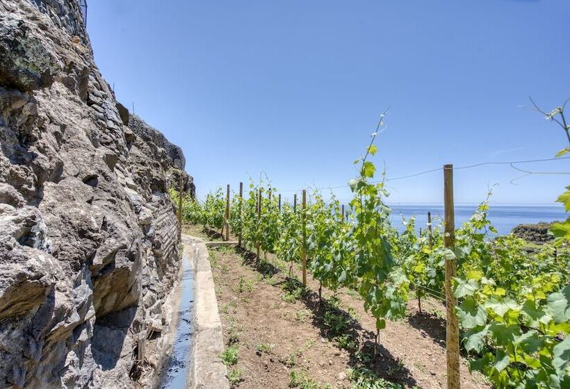 Отель Socalco Nature Calheta