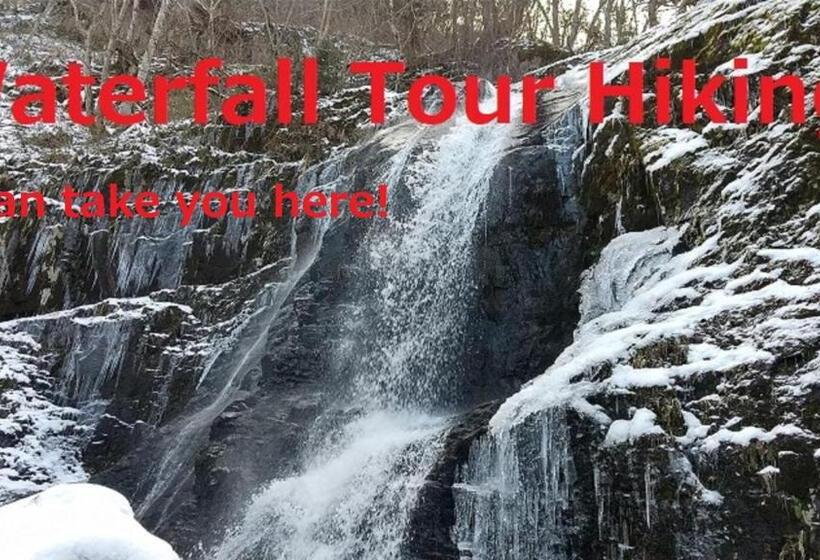 פנסיון Home Sharing Guest House Don