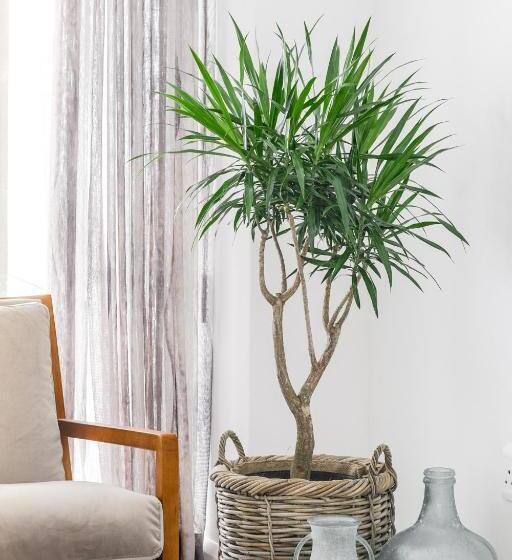 펜션 Mgm Wilderness