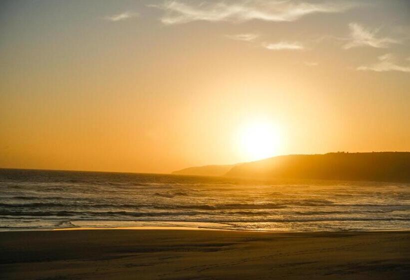 펜션 Mgm Wilderness