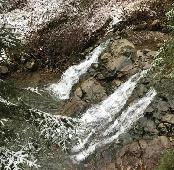 پانسیون Nicole