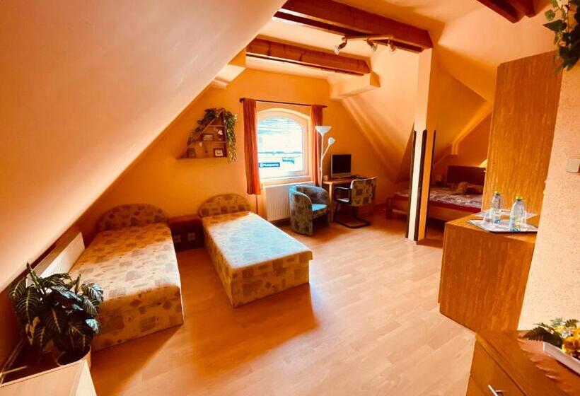 פנסיון Penzión Tyché