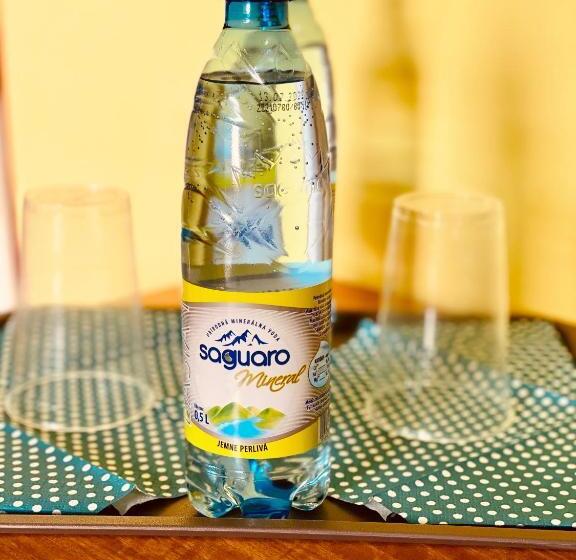 פנסיון Penzión Tyché