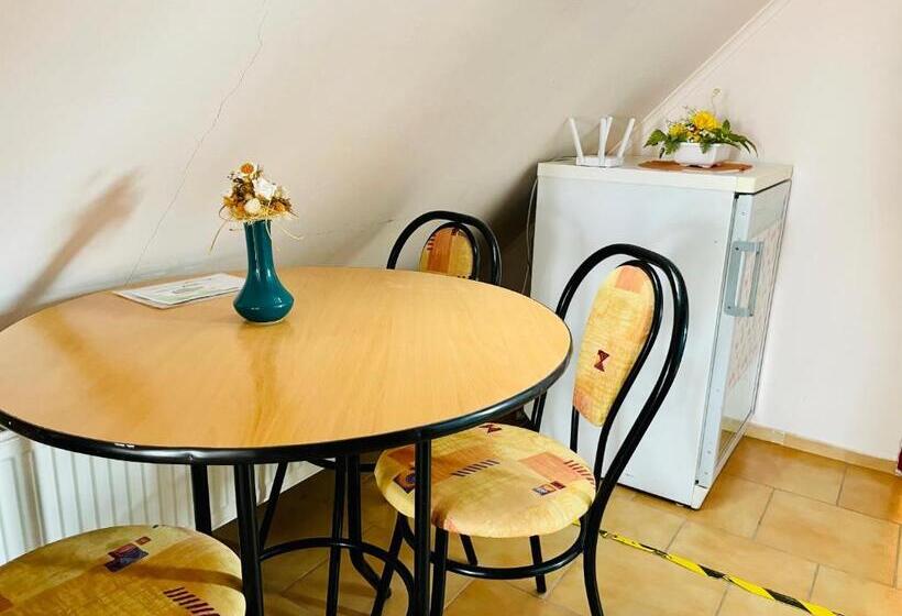 פנסיון Penzión Tyché