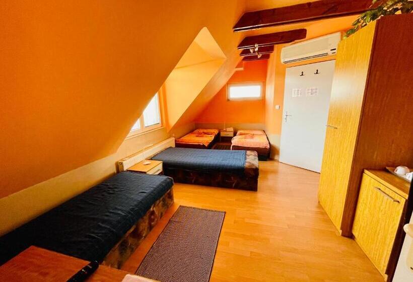 פנסיון Penzión Tyché