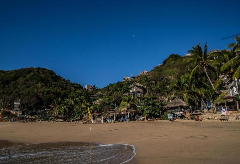 膳宿费 Posada La Sabila