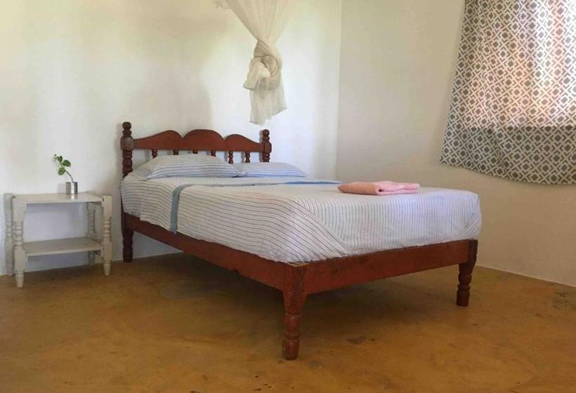 膳宿费 Posada La Sabila