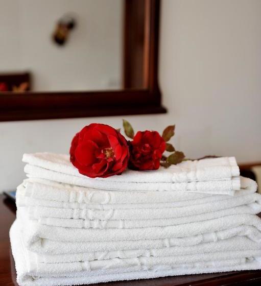 Pensiunea Casa Doamnei Voronet