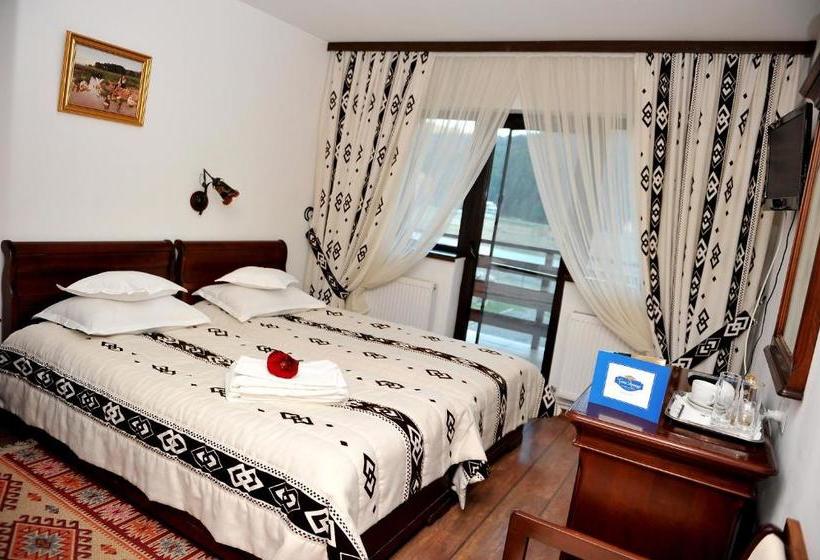 Pensiunea Casa Doamnei Voronet