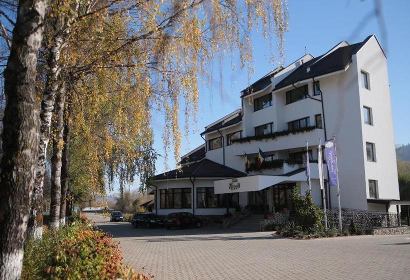 Pensiunea Casa Doamnei Voronet